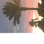 Sunset sizes
