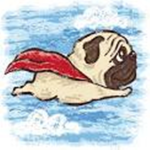 Pug Wizards V. WG57
