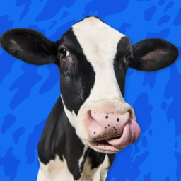 COW OBBY VERY FUN BIG COW DOWN