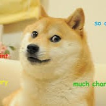 Doge kingdom