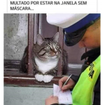 Doação p-p