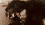 slippveeeeeeeeeee
