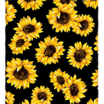 Sunflowers by Sol