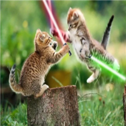 Star Wars Kittens