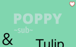 Poppy&Tulip<3
