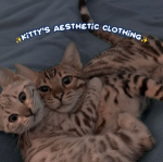 Kitty's Aesthetic Clothing!