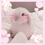 ~Fluffy Sweet Dreams~