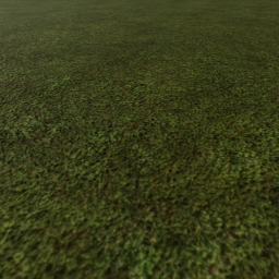 free models speedrun!