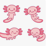 PREPPY AXOLOTLSSSSS