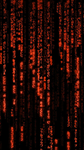 C0DEX