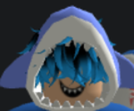 Team Shark fans!