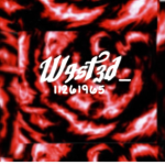 W4ST3D_