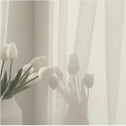 •