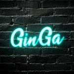 La GinGa team's