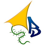 Kite Br