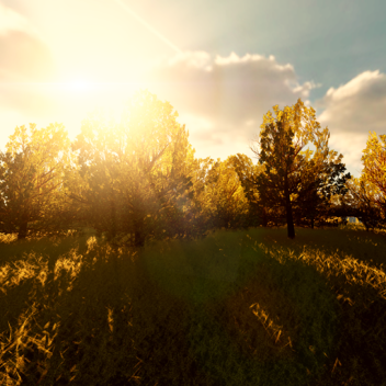 The Reality Forest