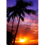HAWAIIAN PPL