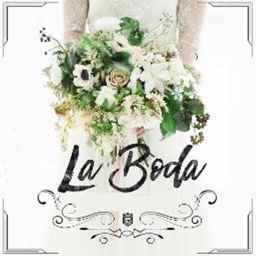 [NEW] Love Forever