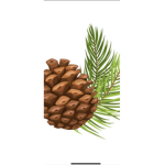 Unbelievable Pineapple