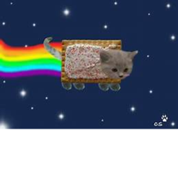 NYAN CAT AND BEARS ARMY hang land