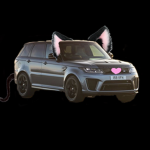 Official SSSniperWolf Fan Group