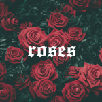 •R•O•S•E•S•