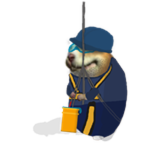 Window Cleaner Chomik