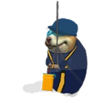 Window Cleaner Chomik