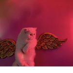 Sʟᴇᴇᴘʏ ғʀᴏᴏɢ