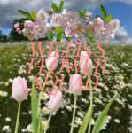 Willis's Flower Squad