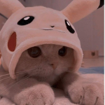 -||Furry_Team||-