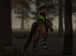 Equestrain Clothes!