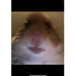 John gamingoffical1038110
