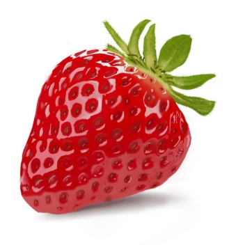 PVP ⚔️ RANDOM BATTLES