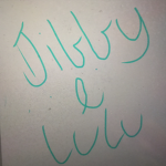 Jibbiy and lulu team