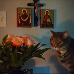 Orthodox Essentials. Group Thumbnail