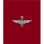 C COY, 2nd Battalion Parachute Regiment
