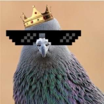 La Secte des Birdy wy