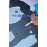 Haydens Hotel