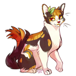 -*Warrior cats*-