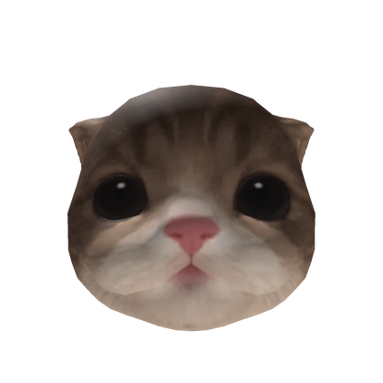 Little Kitten Head