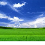Malware United