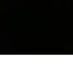 •ʀᴏʏᴀʟ ʙɪʀʙs•
