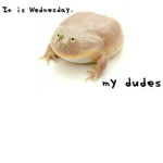 DA TOED GANG
