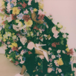 goodnightngo