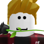 BeaverPlayzzRoblox