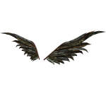 Distressed Jeans Wings