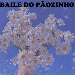 Baile Do Pãozinho