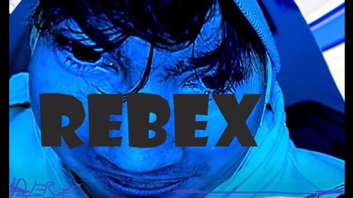 *~{Vibe rebex obby}~*