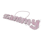 sammy pink necklace 3.0